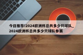 今日推荐!2024欧洲杯总共多少只球队_2024欧洲杯总共多少只球队参赛