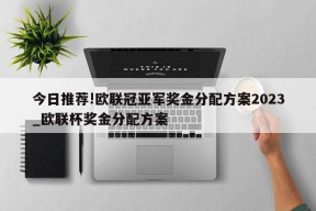 今日推荐!欧联冠亚军奖金分配方案2023_欧联杯奖金分配方案