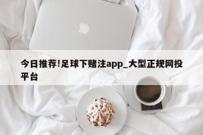 今日推荐!足球下赌注app_大型正规网投平台